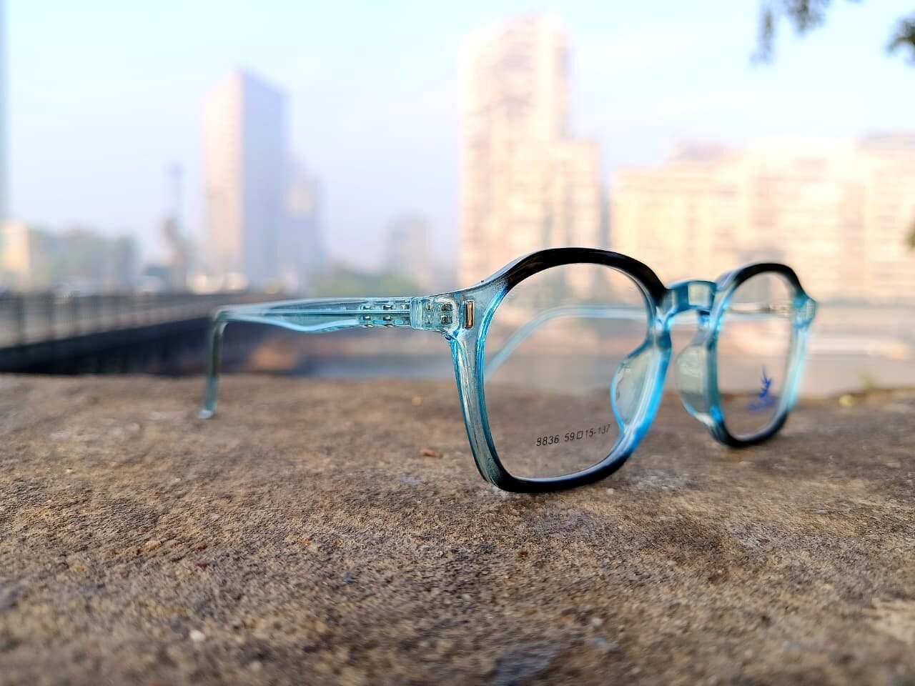 بلو بيرد - الصورة 3